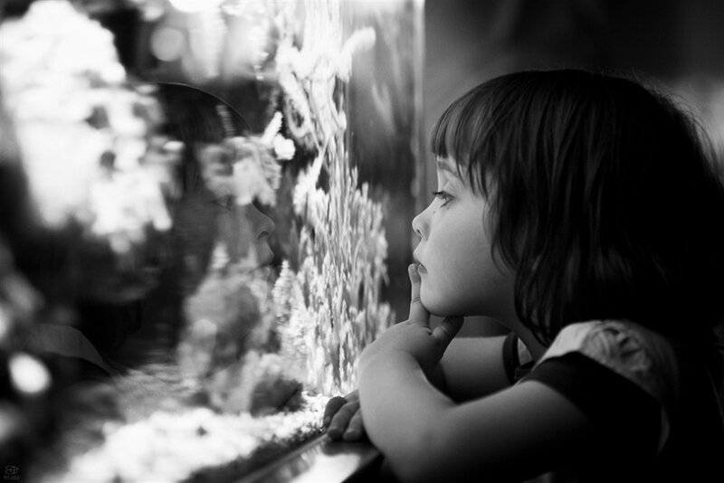 Child Looking at Aquarium