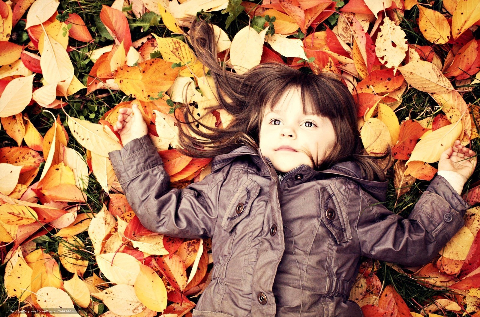 child lying in autumn leaves