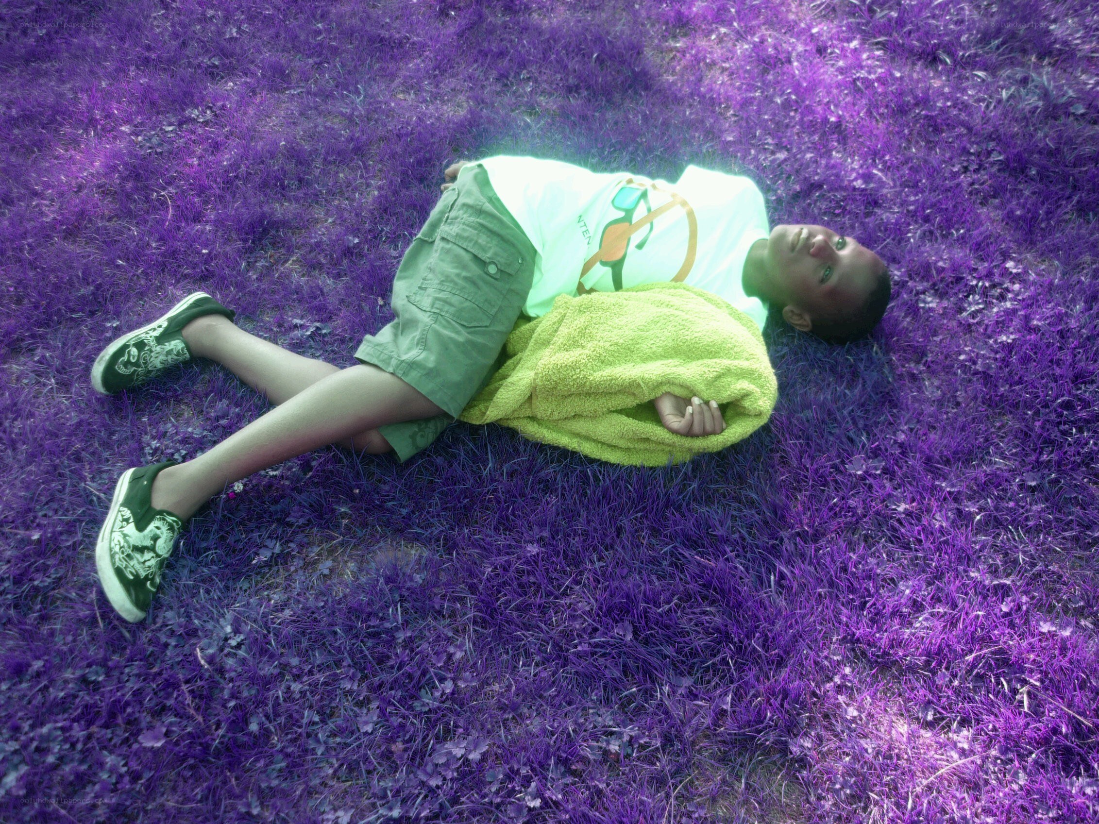 Child lying on purple grass