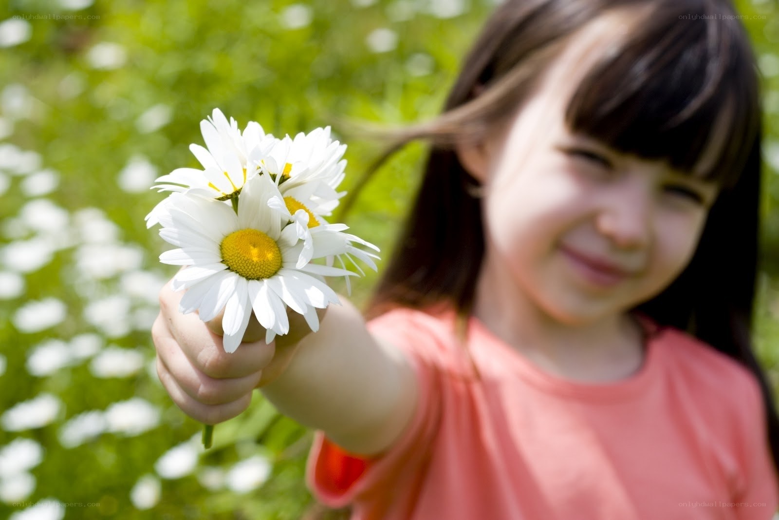 child offering daisies