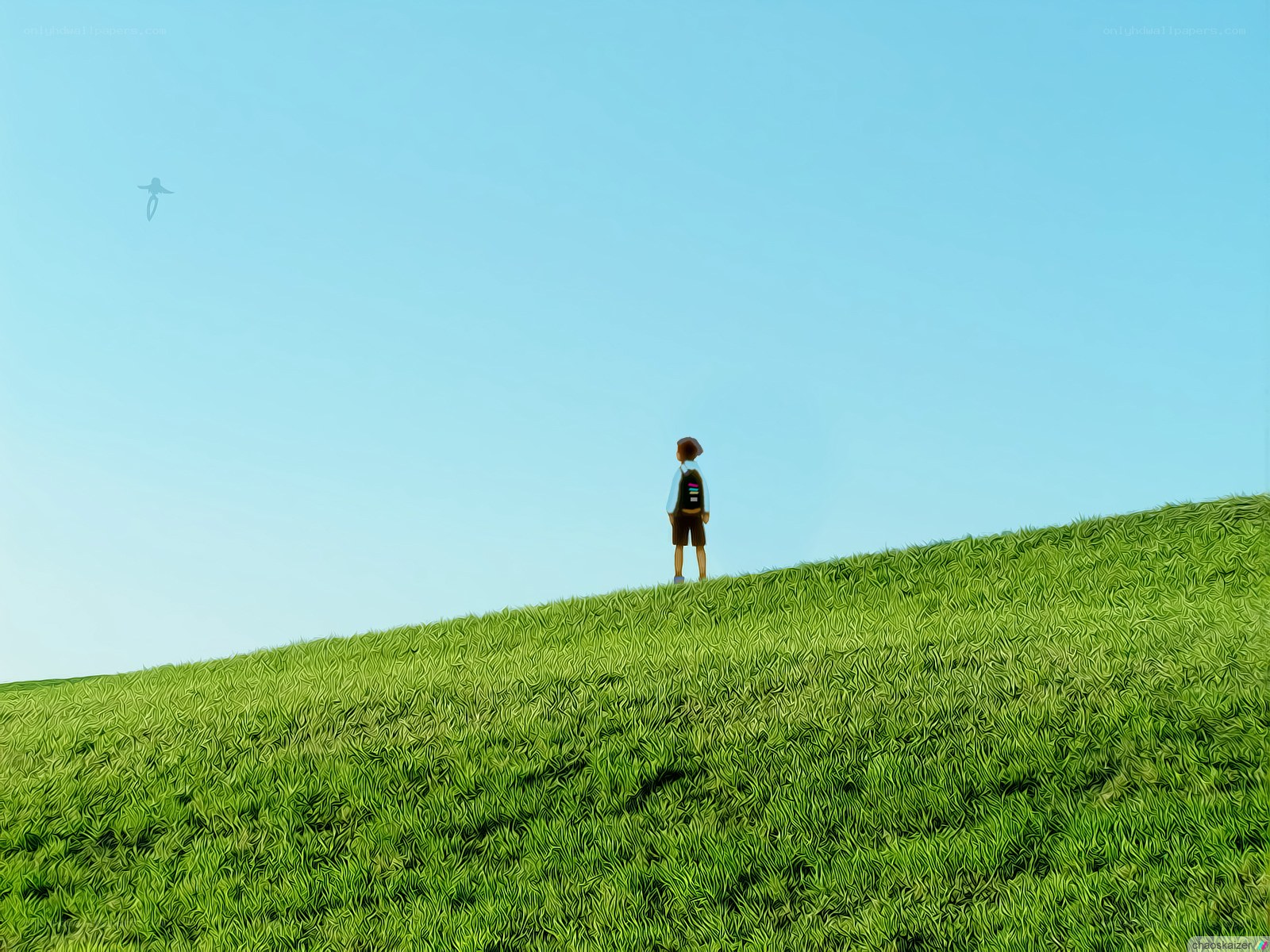 Child on a grassy hill