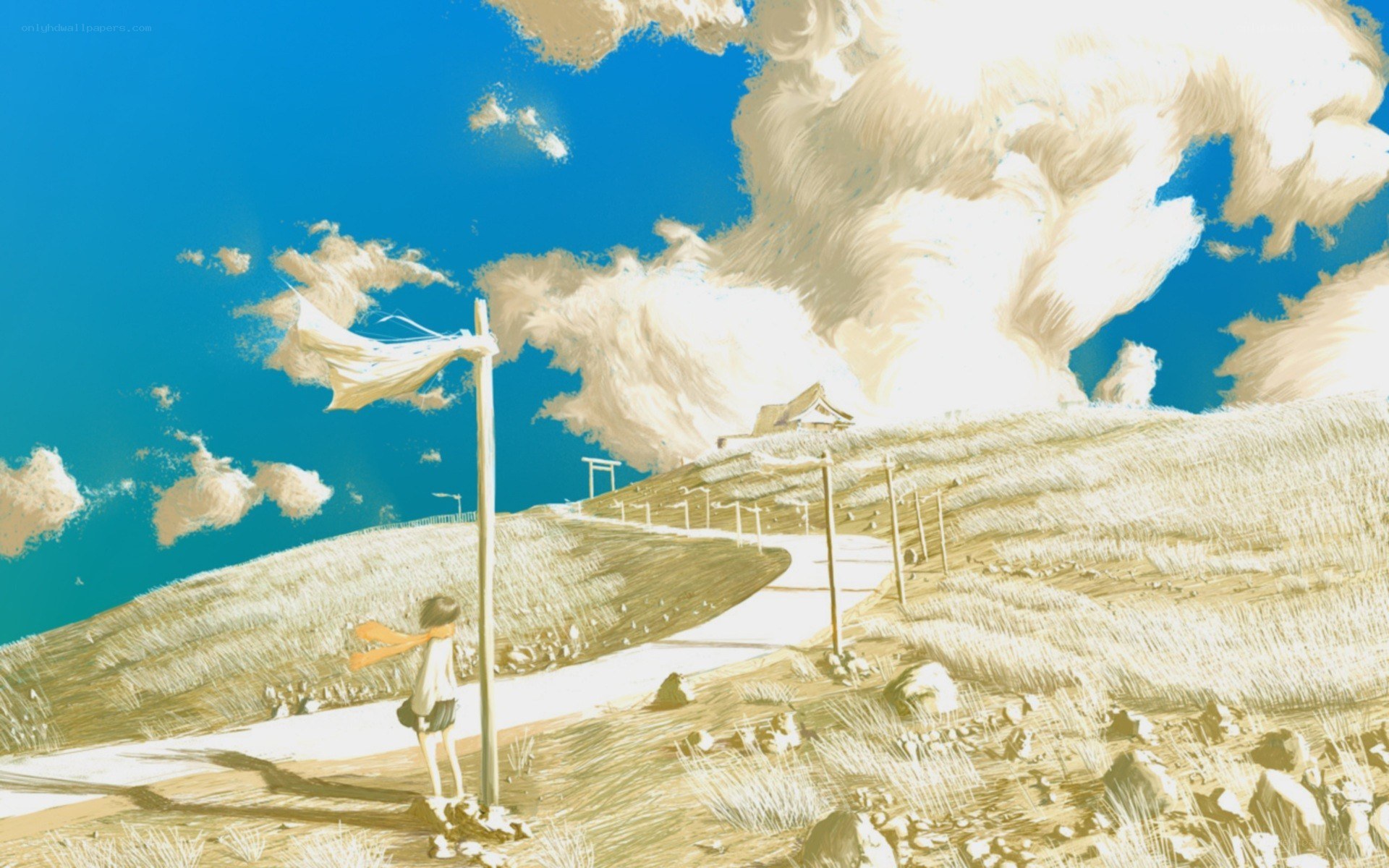 Child on a hill under blue sky