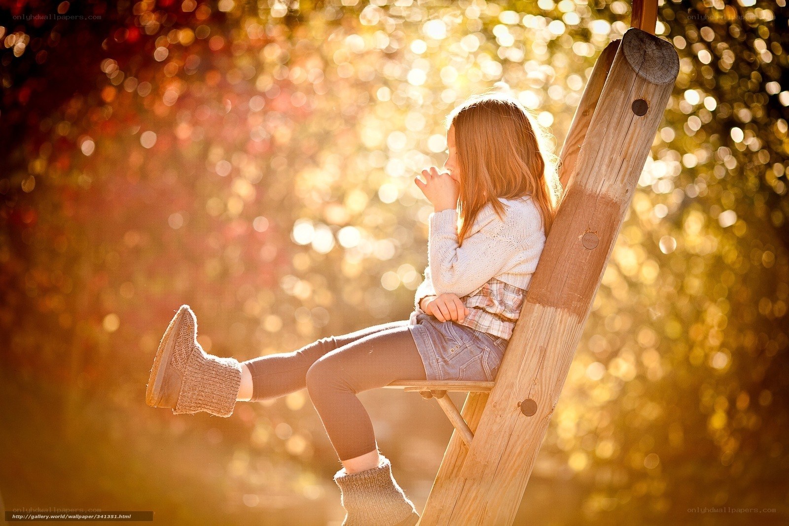 Child on a ladder in autumn