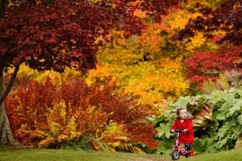 Child on Bicycle — Red