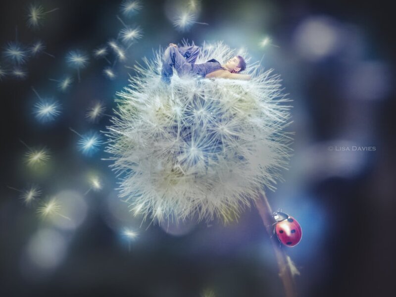 Child on Dandelion