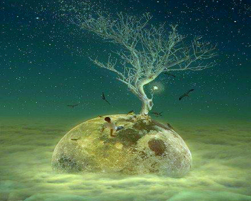 Child on Moon under Tree