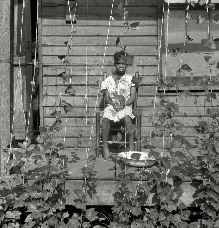 child on porch with vines