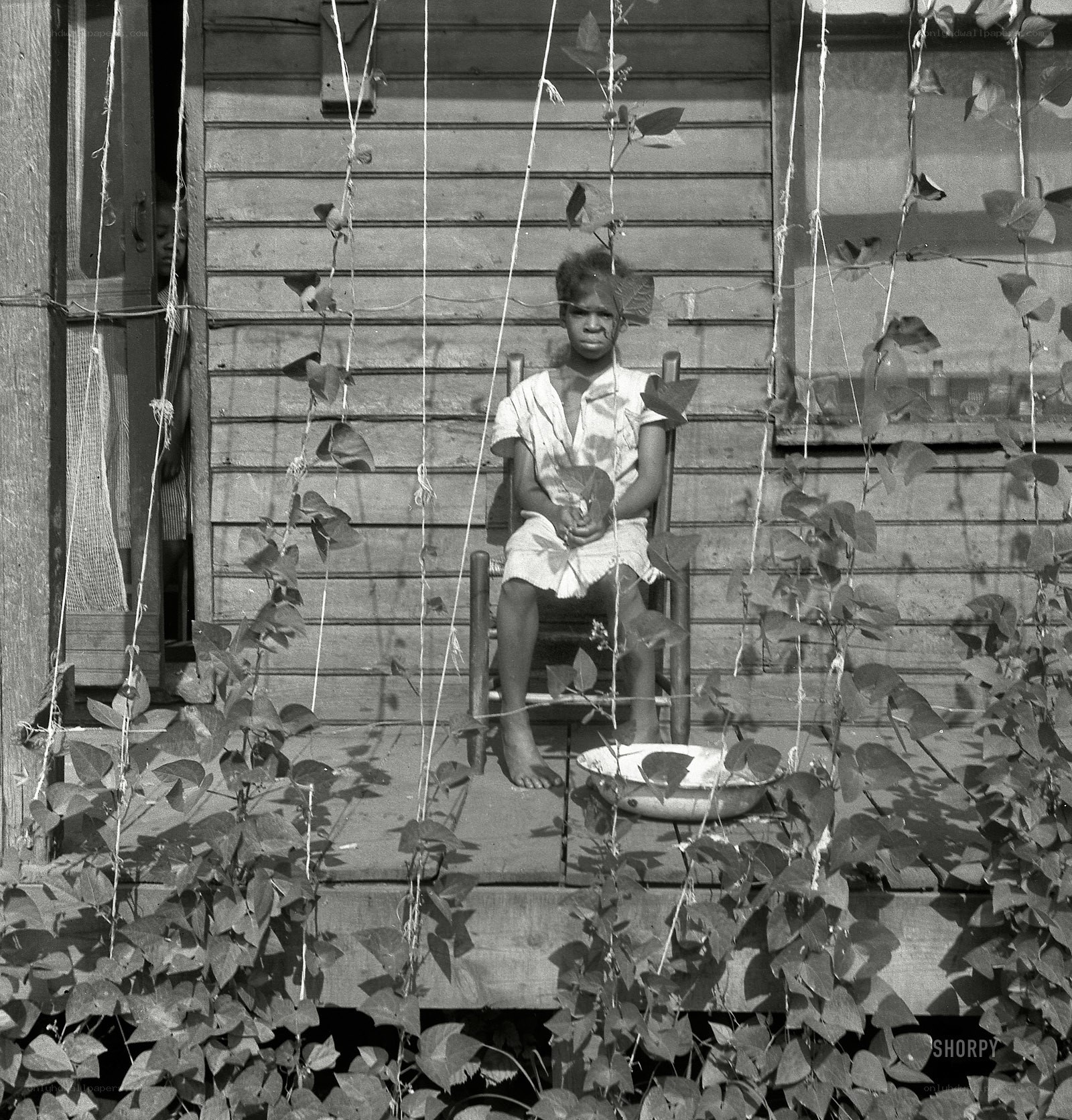 child on porch with vines