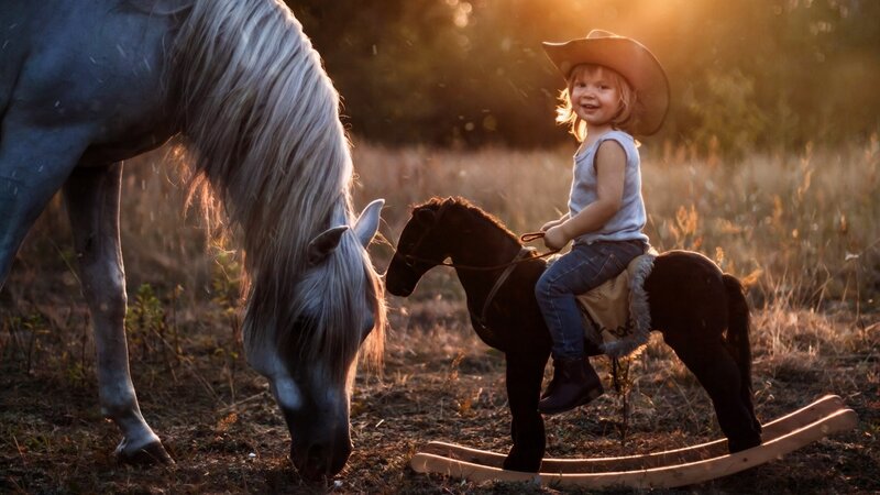 Child on Rocking Horse — Brown