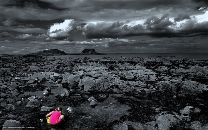 Child on rocky beach at low tide