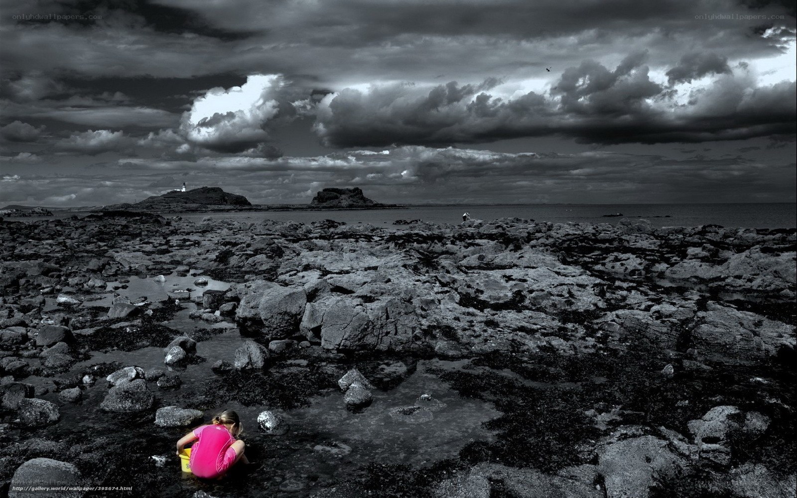 Child on rocky beach at low tide
