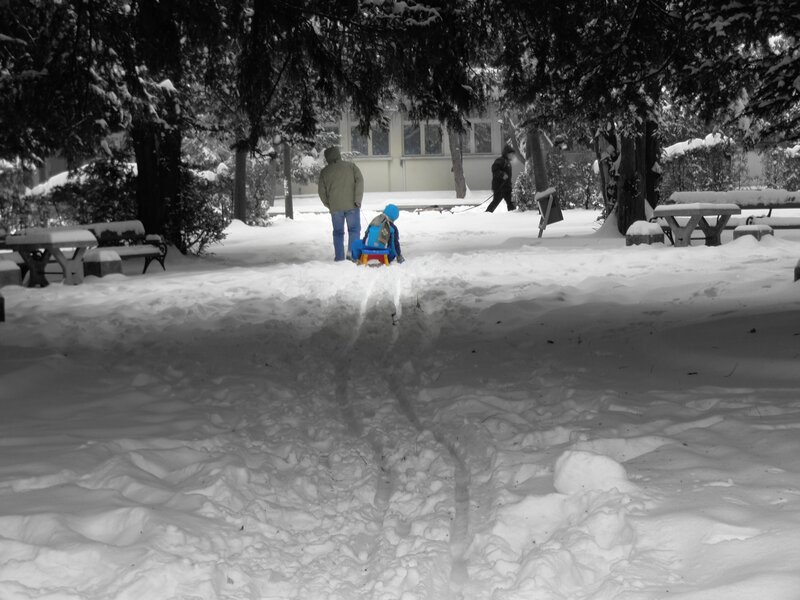 Child on Sled in Snow