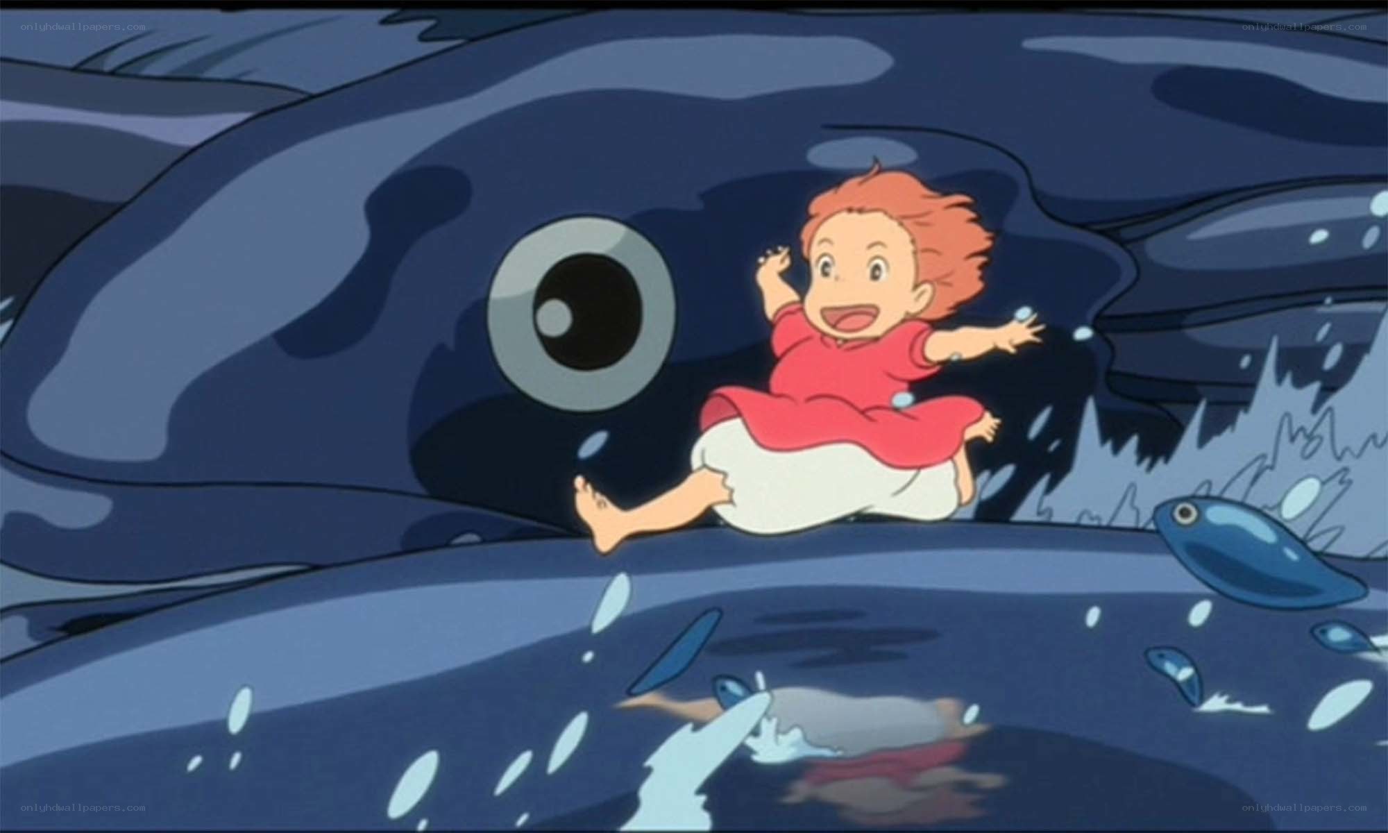 child on whale's back