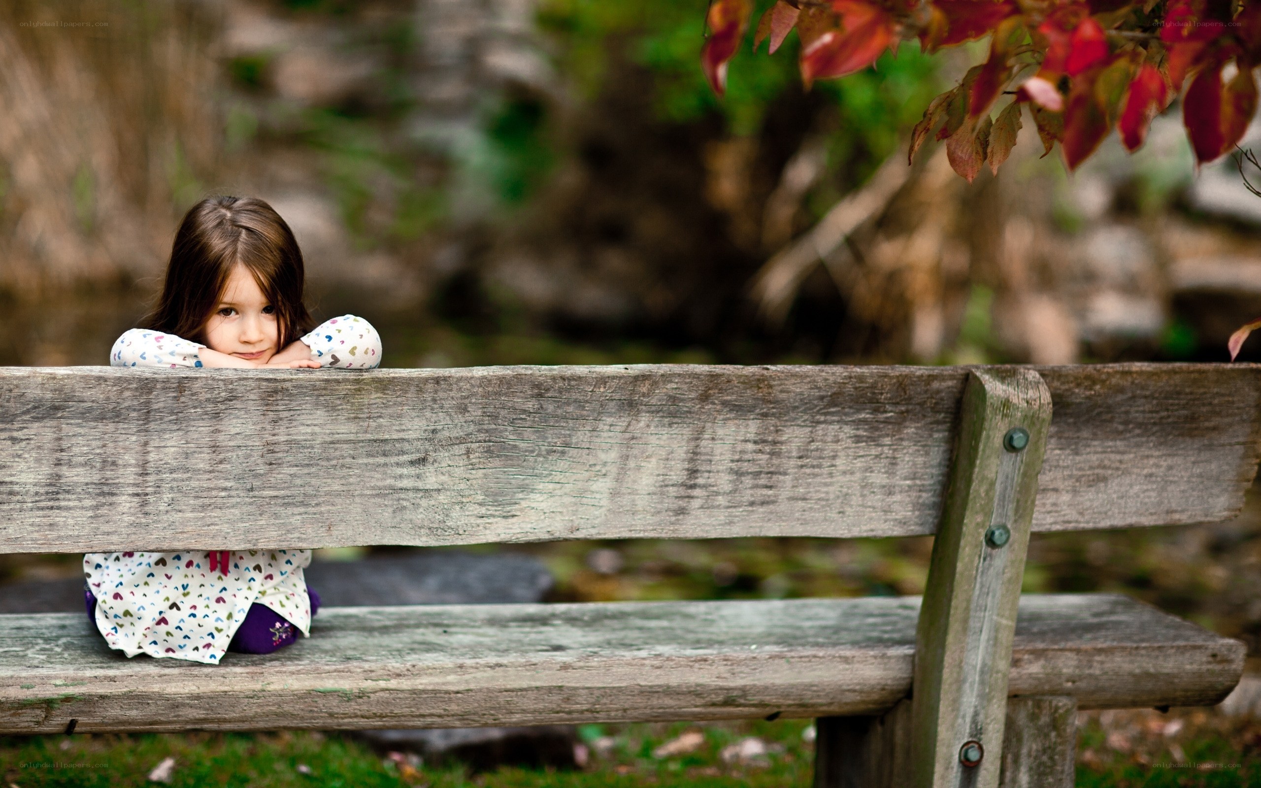 child on wooden bench