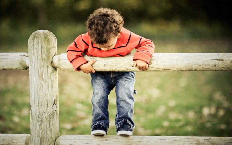 Child on Wooden Fence