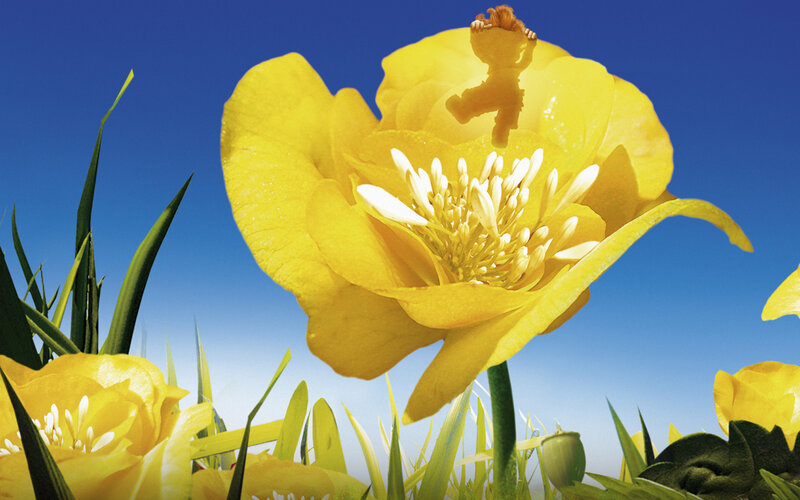 child on yellow flower