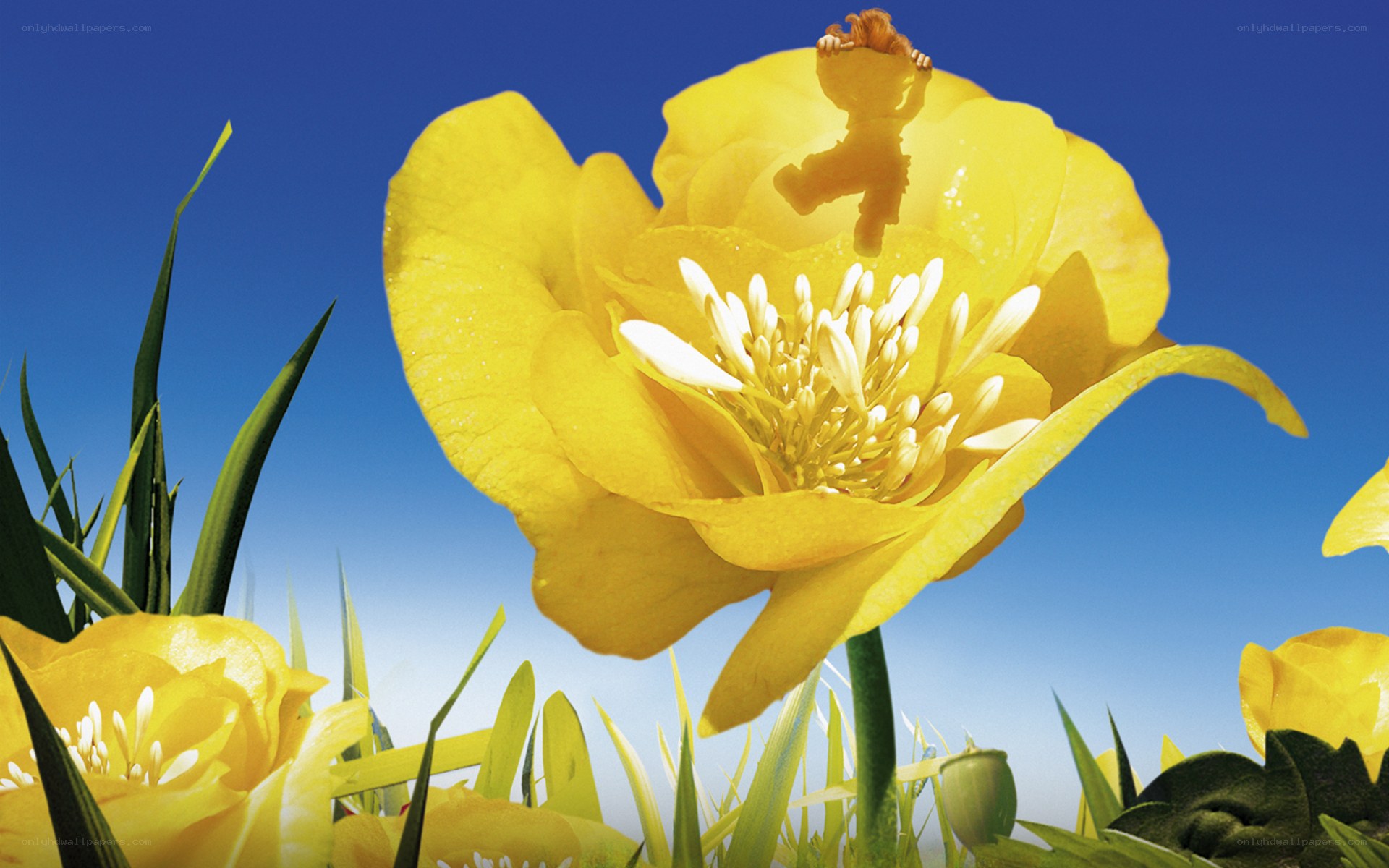 child on yellow flower