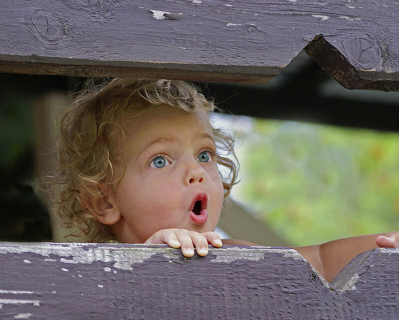 Child Peeking Through Fence