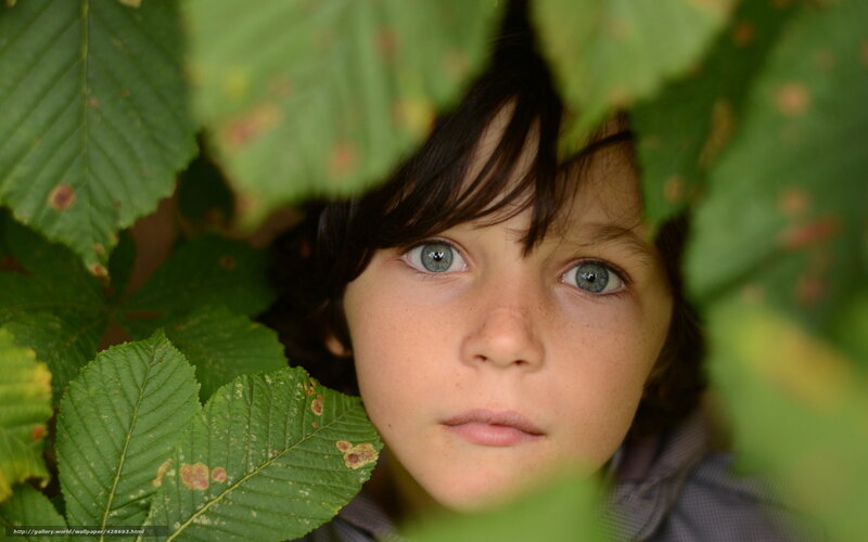 child peeking through leaves