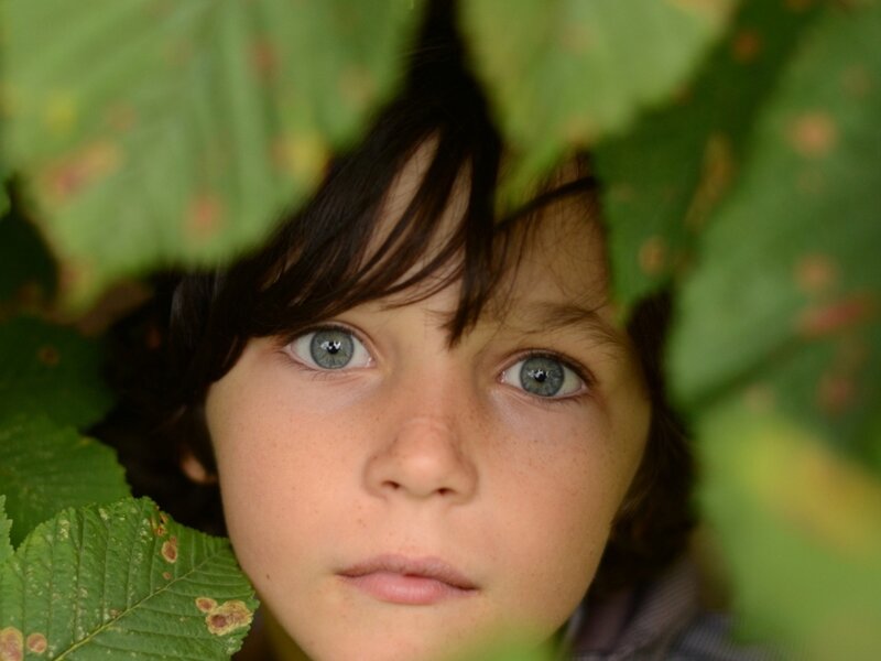 Child Peeking Through Leaves — Green
