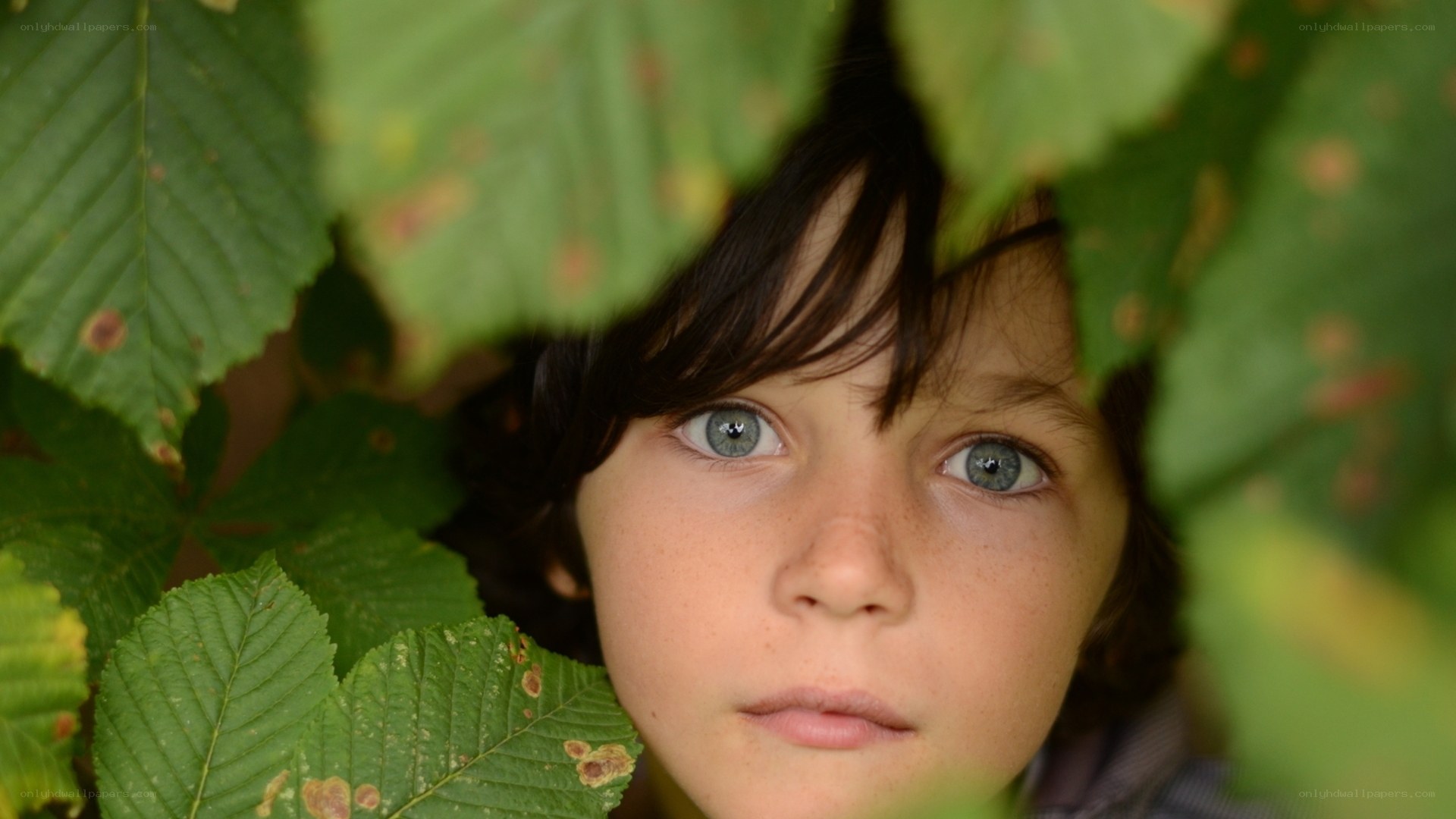 child peeking through leaves