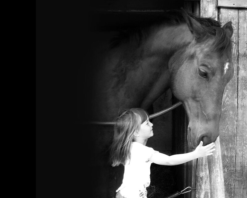 child petting a horse
