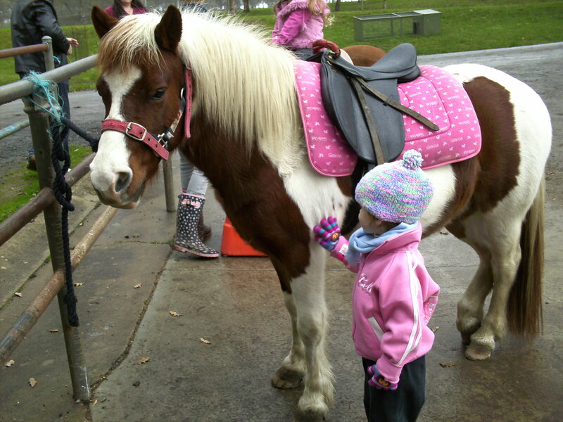 Child Petting a Pony