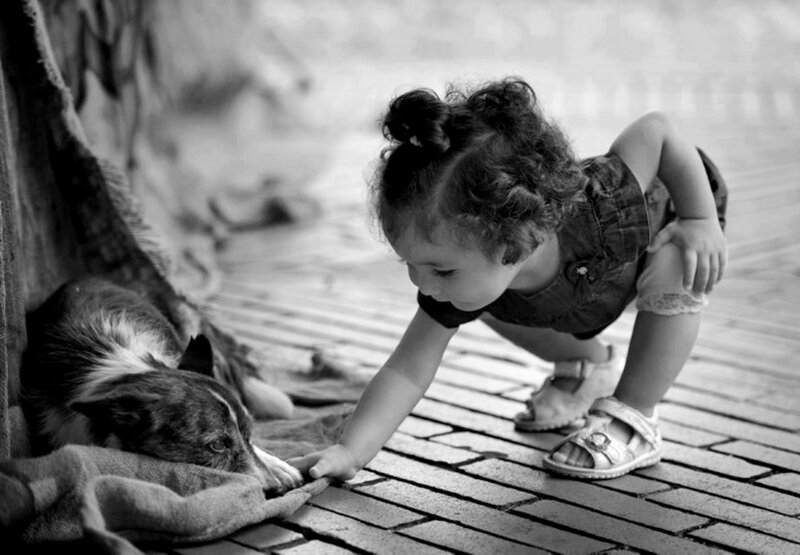 Child Petting Dog — Black