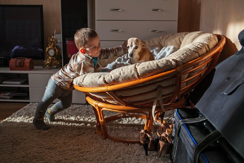 Child Petting Dog in Chair