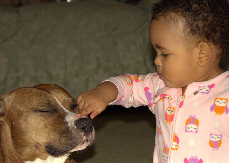 Child Petting Dog — Pink