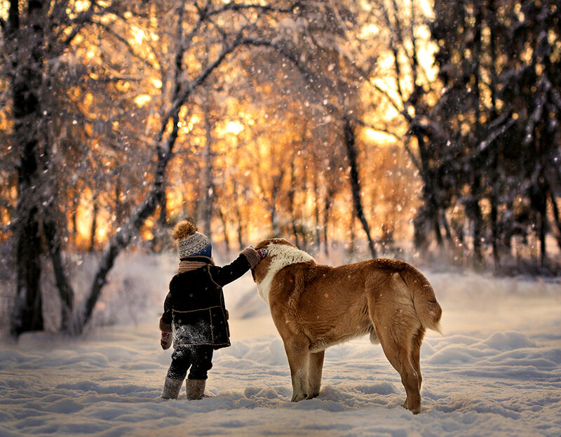 Child Petting Dog — White