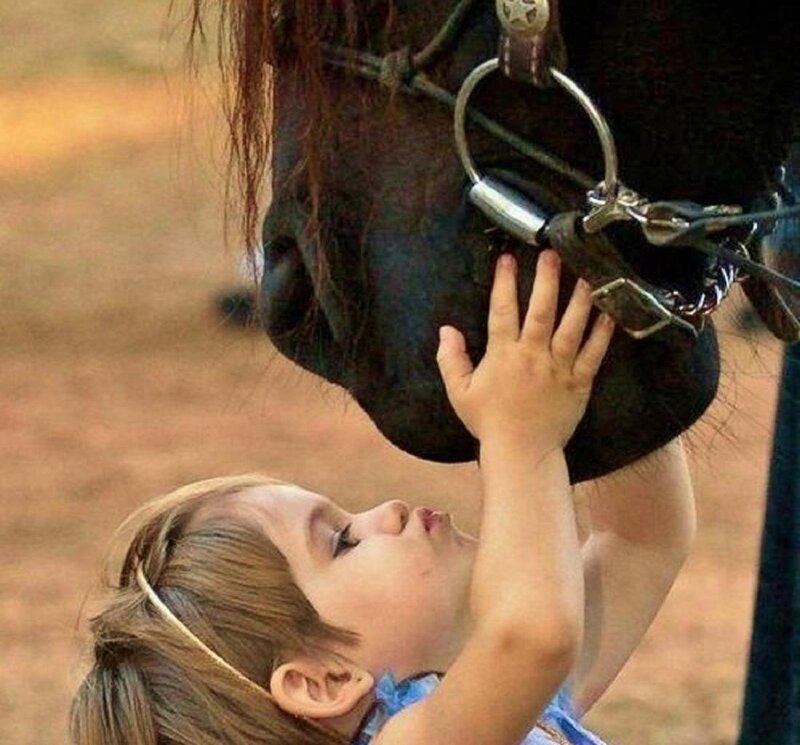 Child Petting Horse — Brown