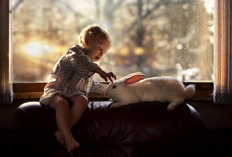Child Petting Rabbit