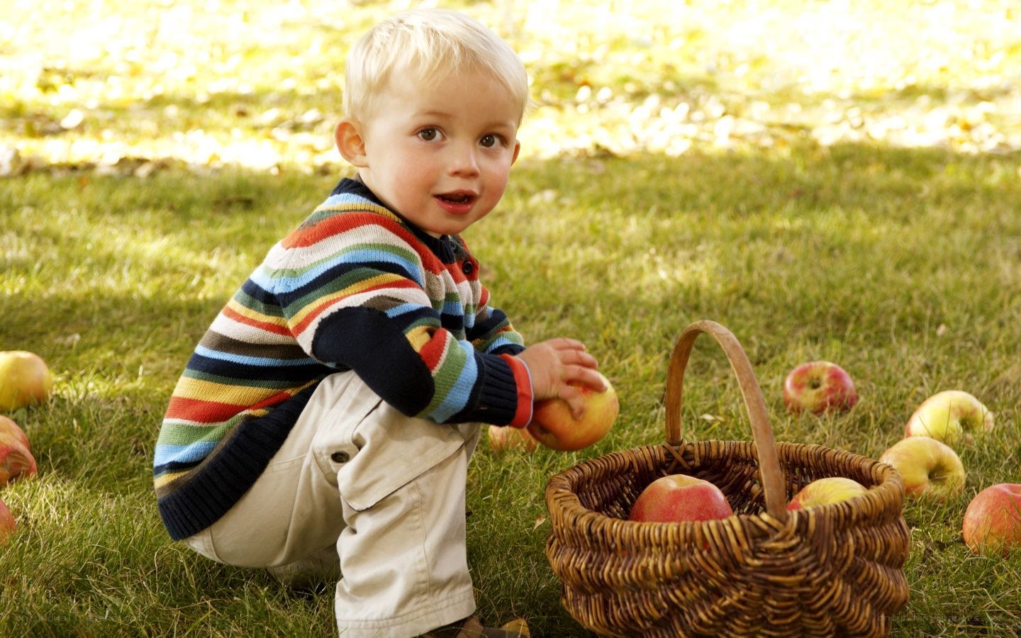 child picking apples in a basket