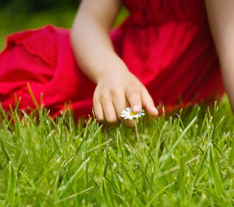 Child Picking Daisy — Green