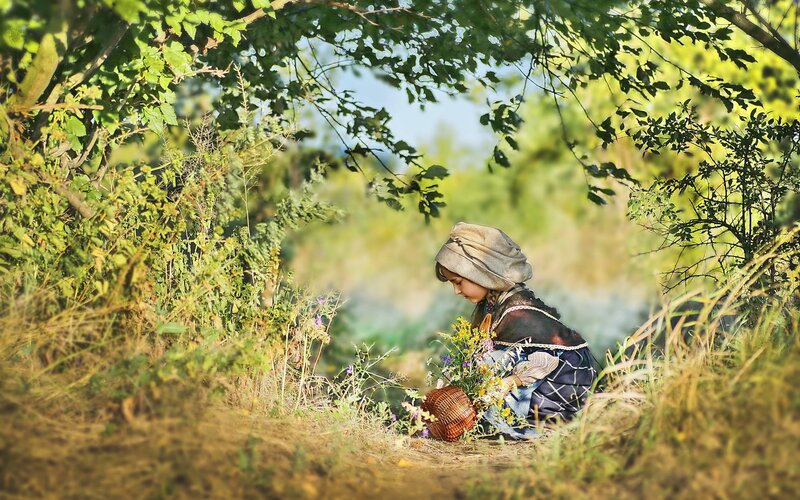 Child Picking Wildflowers
