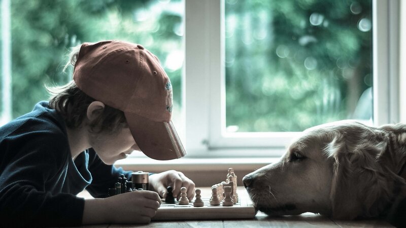 Child Playing Chess with Dog
