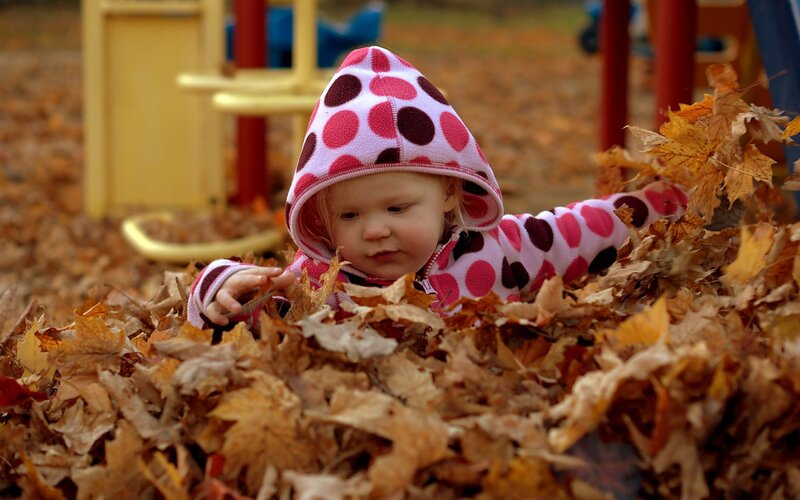 child playing in autumn leaves