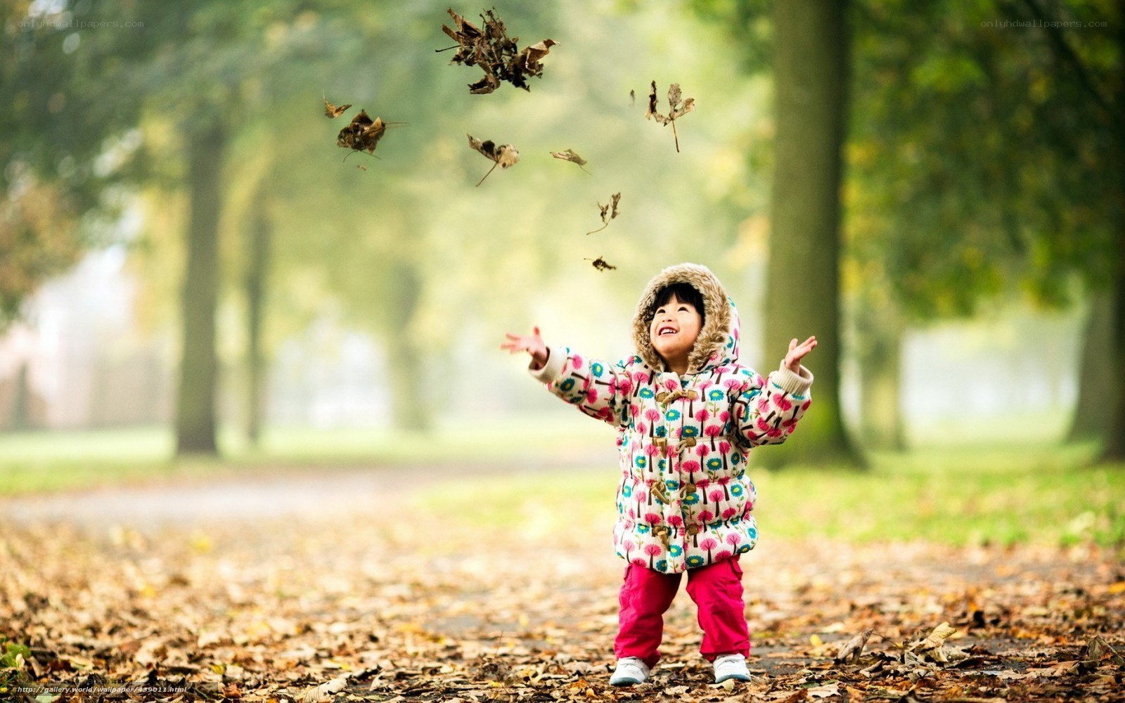 child playing with autumn leaves