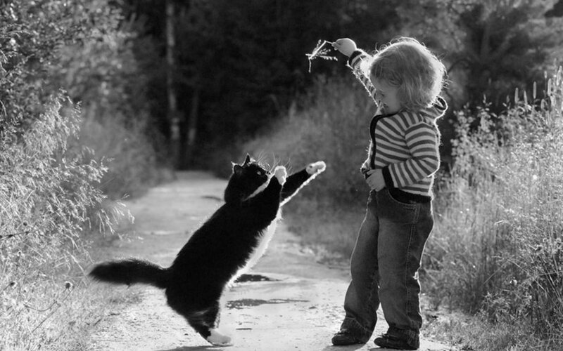 Child Playing with Cat — Black