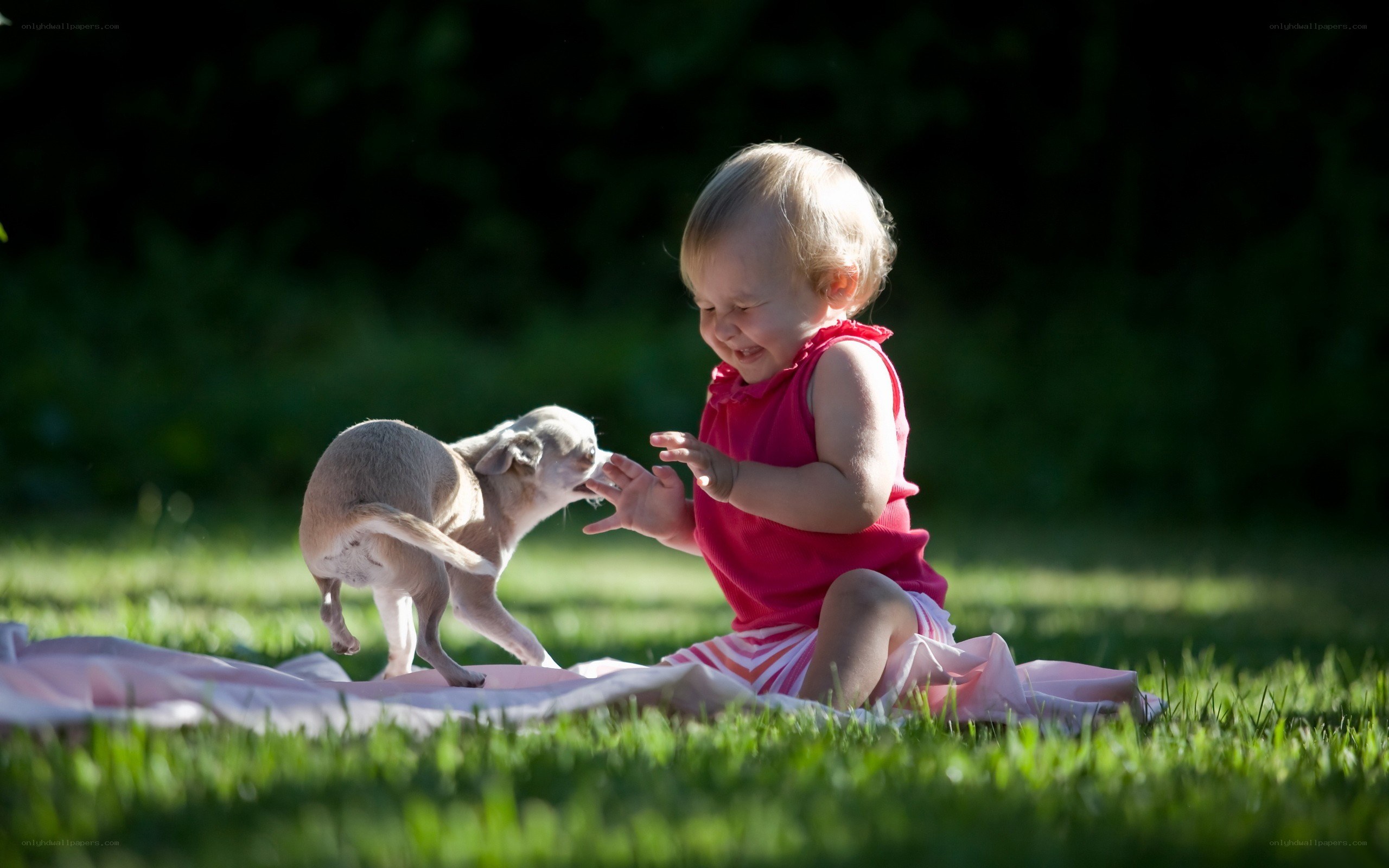 child playing with puppy