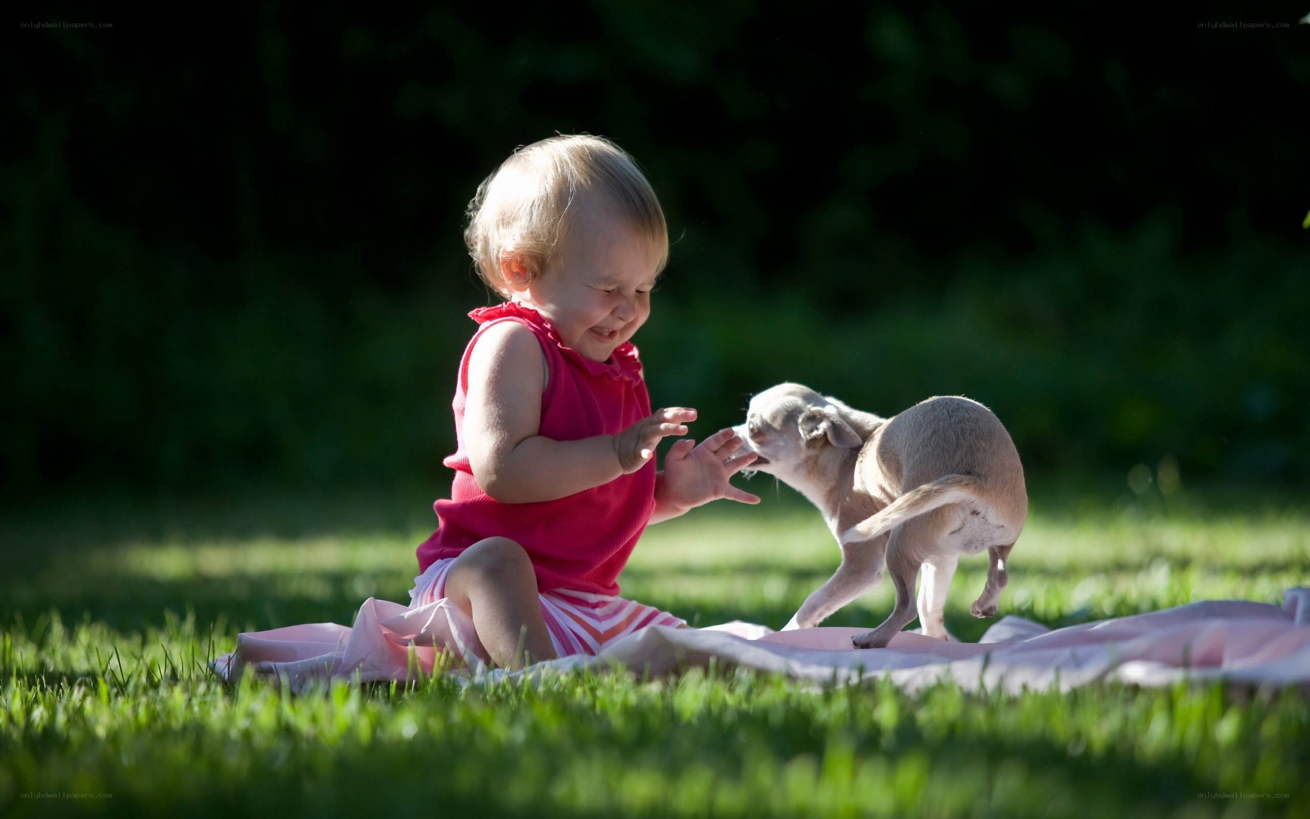 child playing with puppy on grass