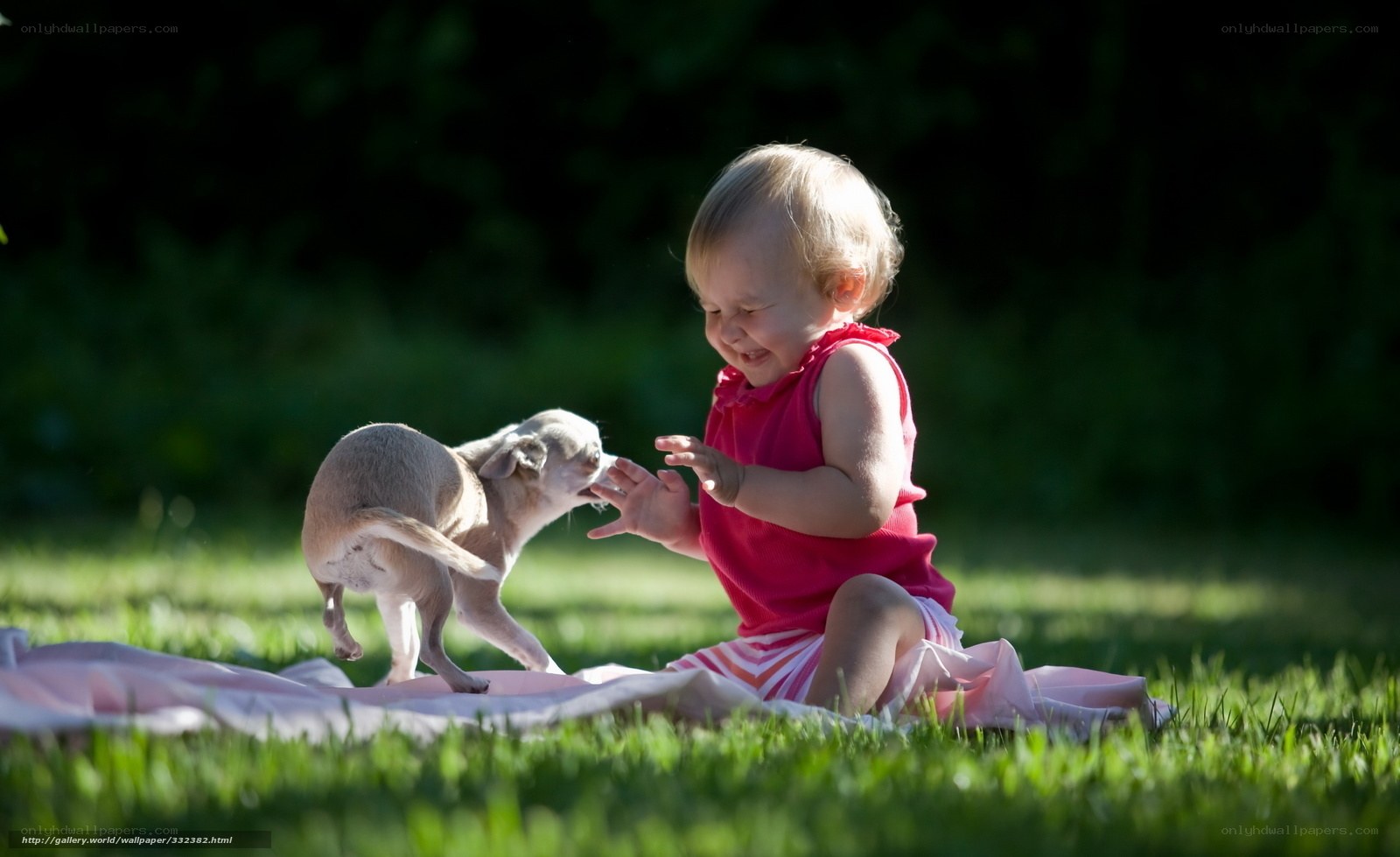 child playing with puppy
