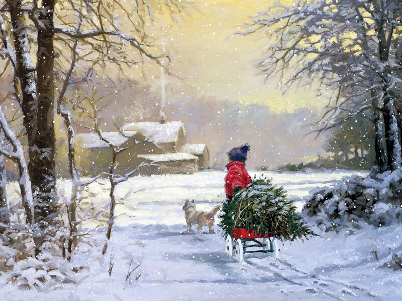 Child Pulling Tree in Snow