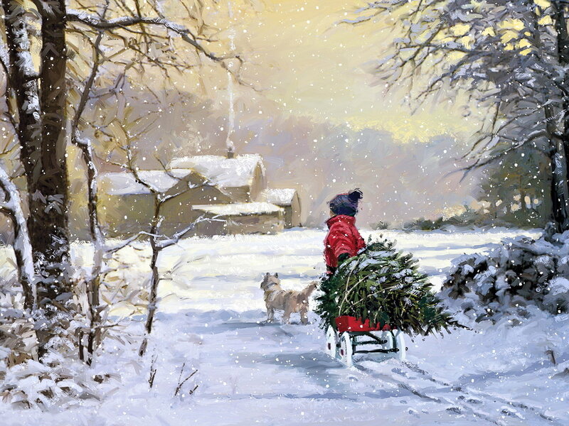 Child Pulling Tree in Snow — White, Peaceful