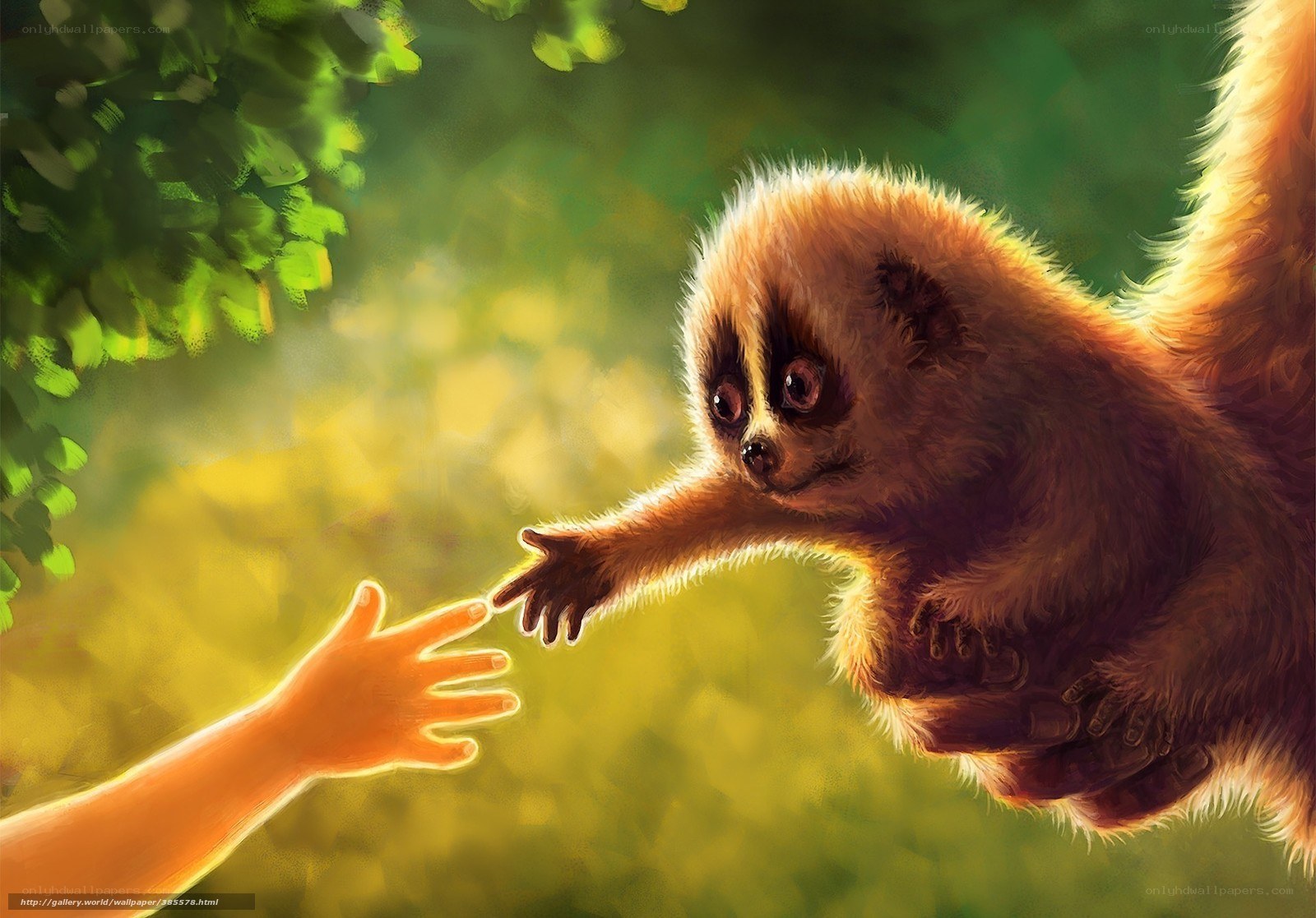 child reaching for baby lemur