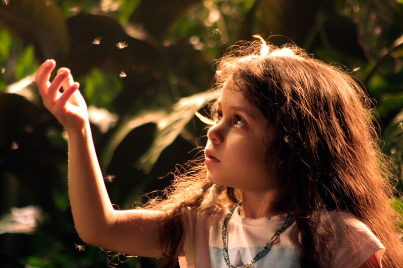 child reaching for dandelion seeds