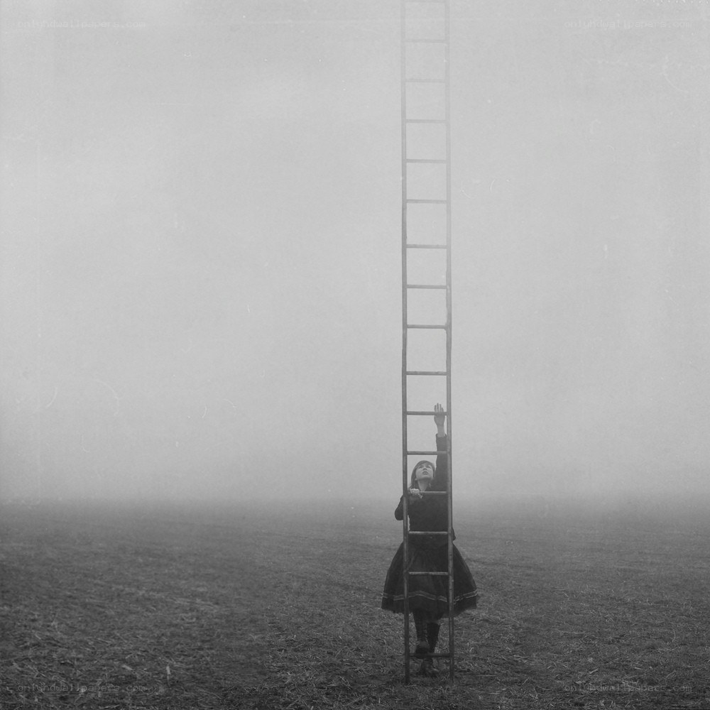 Child reaching for ladder in fog