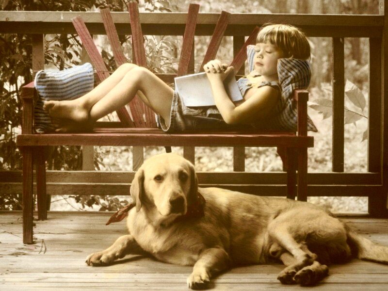 Child Reading on Bench