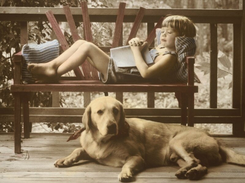 Child reading with dog on porch